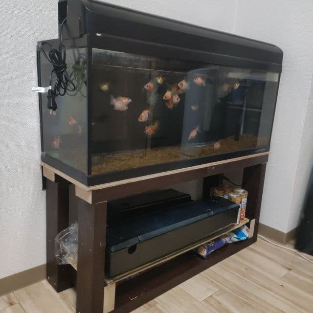 90㌢スリム水槽！台付き☆引き取り限定！