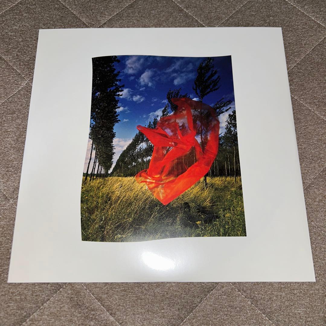 Pink Floyd Wish 限定LPレコード You Were Here