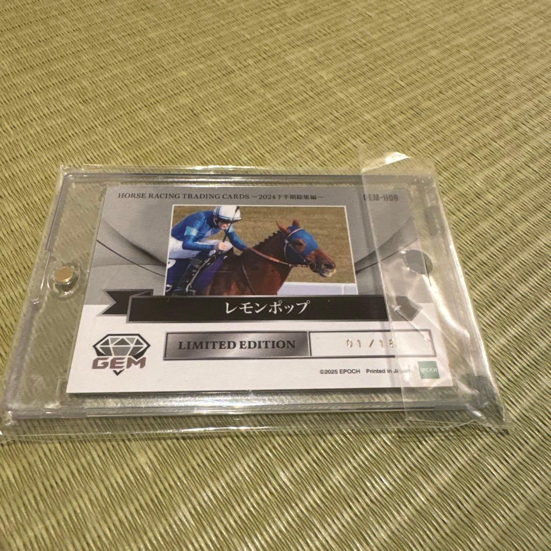 【1/18】EPOCH ホースレーシング レモンポップ 2024下半期総集編