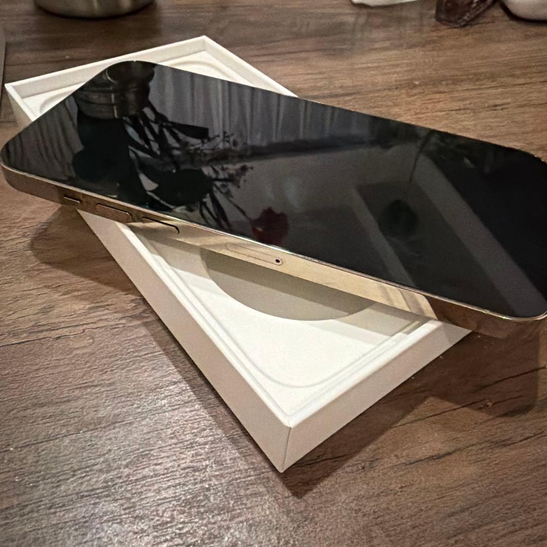 iPhone 14 Pro Max ゴールド 256GB 本体　ひび割れ