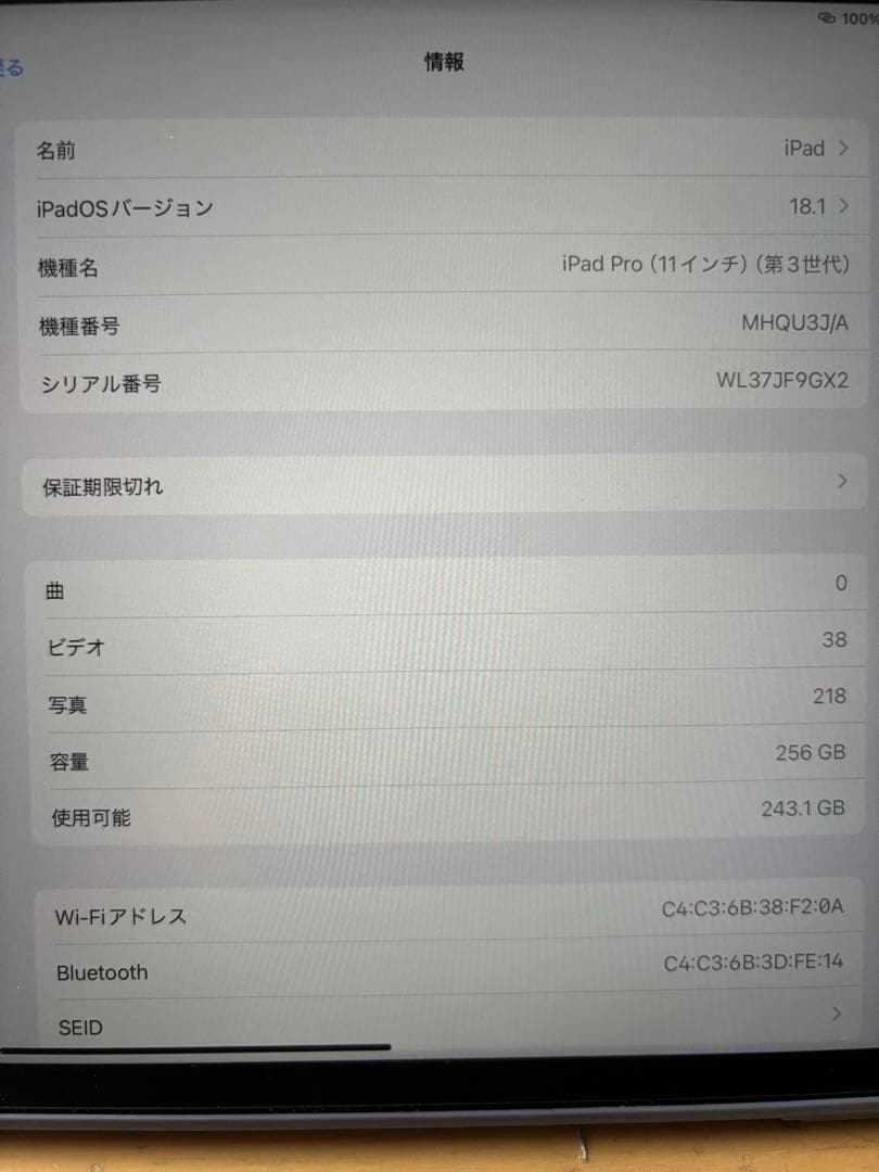 iPad Pro 11インチ 第3世代　256GB