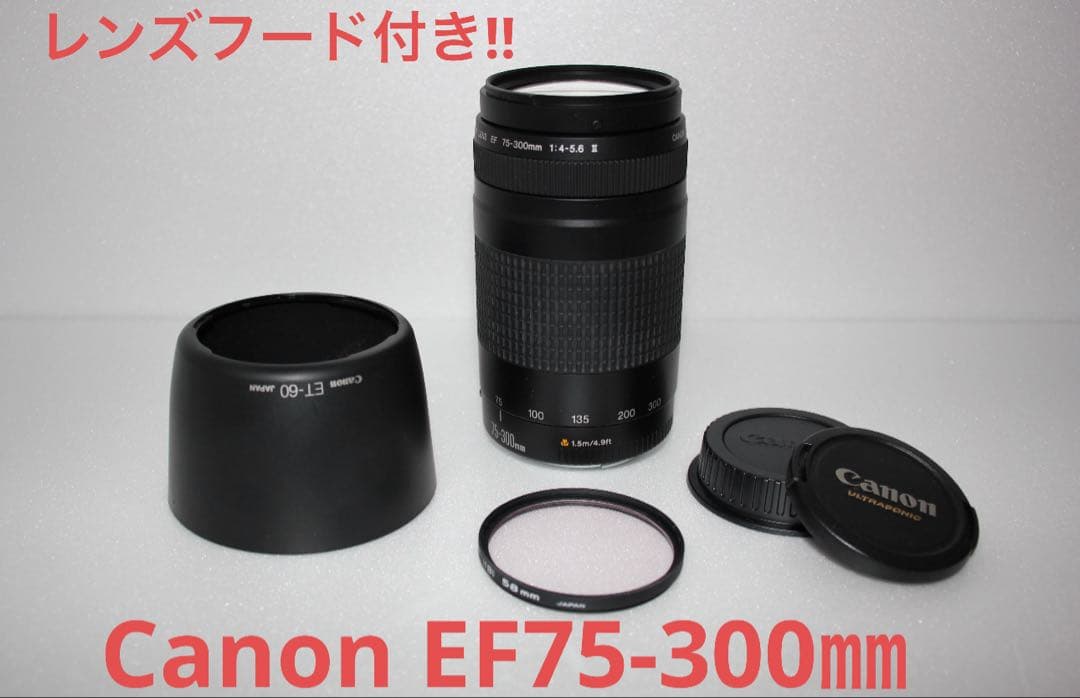 イベント☆望遠レンズ☆スポーツ☆キャノン Canon EF75-300㎜