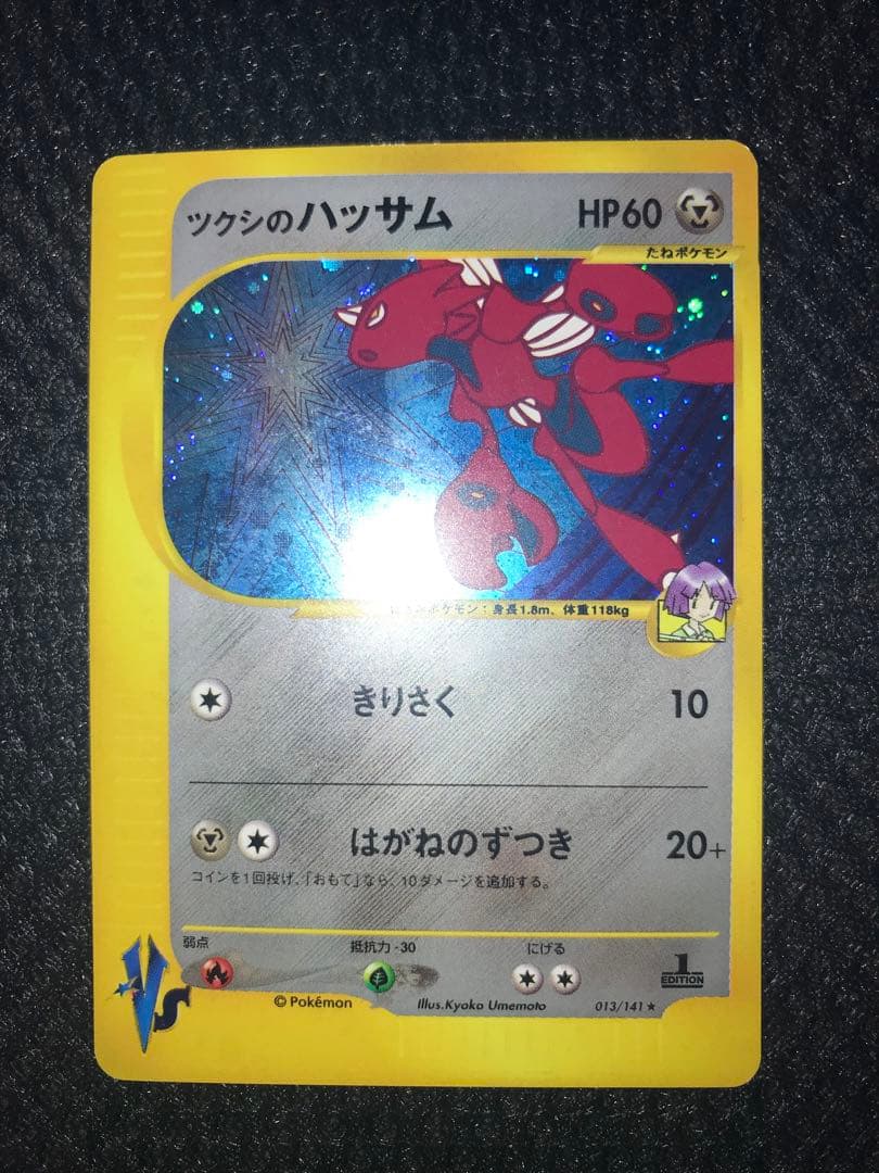 ツクシのハッサム