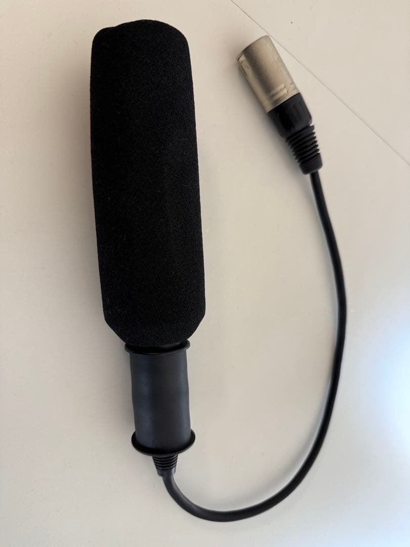 HXR-NX100ビデオカムコーダー