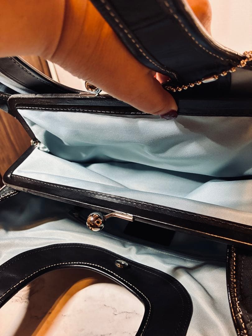 COACH F14380 プリーテッド サッチェル エルゴ バッグ がま口