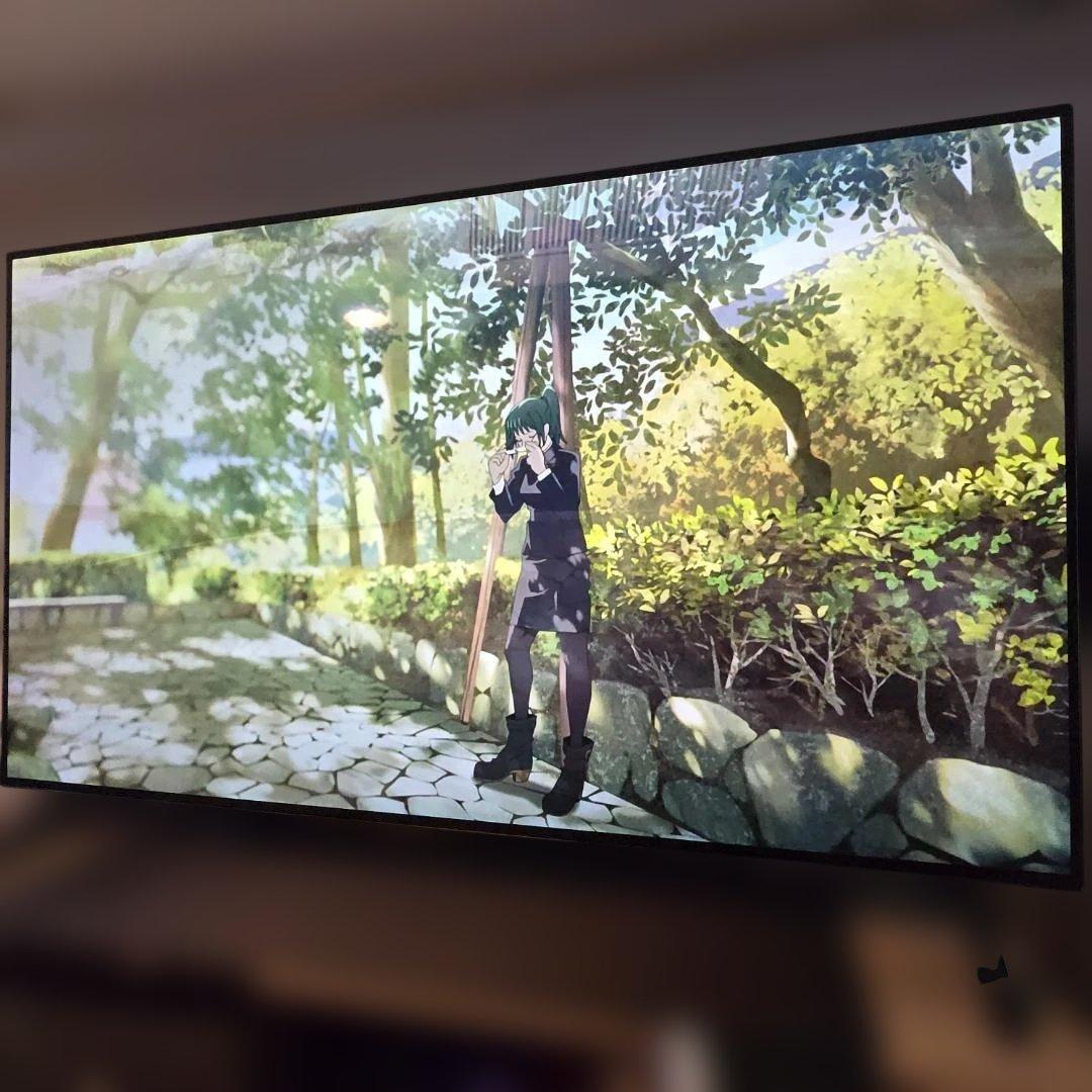 LG有機EL48型 OLED48A2PJA 2022 年モデル