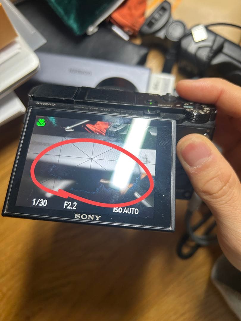 デジタルカメラ Sony DSC-RX100M5A