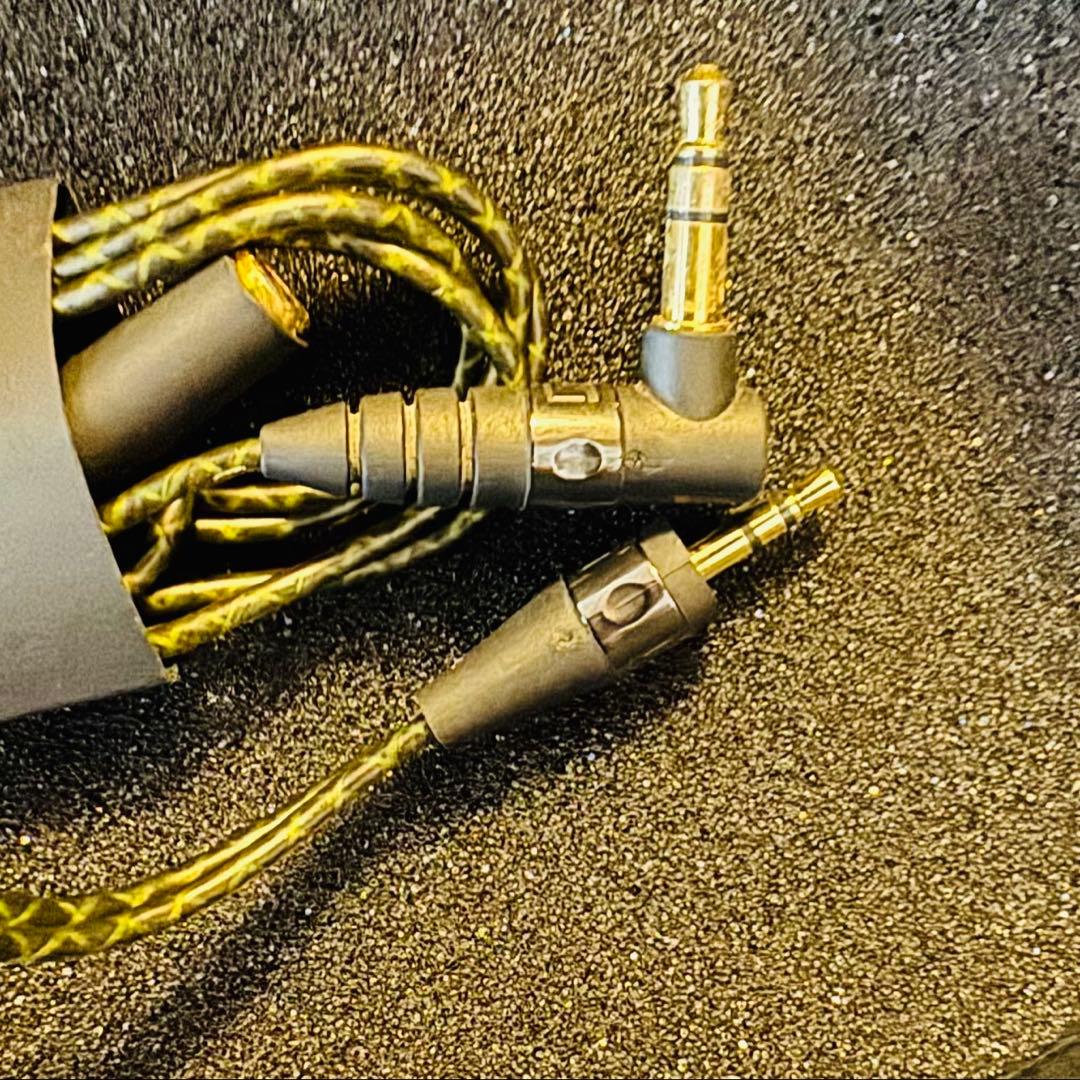 希少廃番品 Sennheiser IE800 有線イヤホン ケース付き