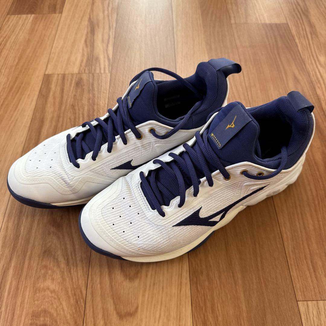 Mizuno バレーボールシューズ ウェーブルミナス02 ドイツモデル