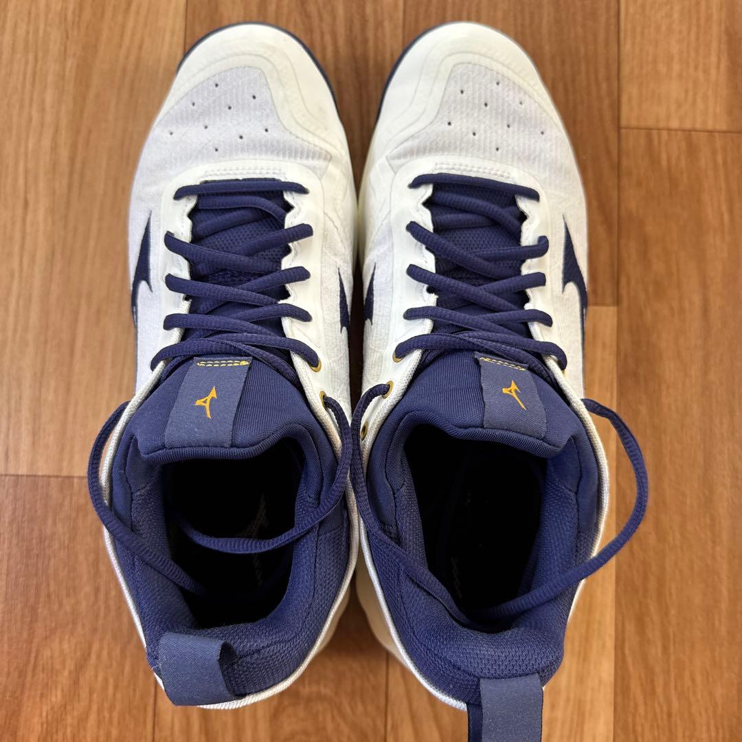 Mizuno バレーボールシューズ ウェーブルミナス02 ドイツモデル