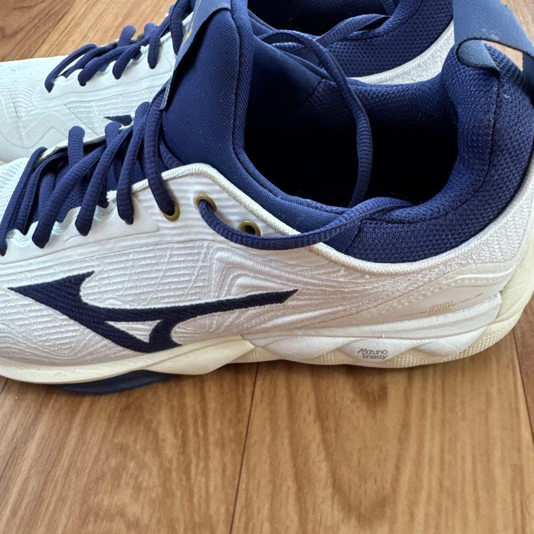 Mizuno バレーボールシューズ ウェーブルミナス02 ドイツモデル