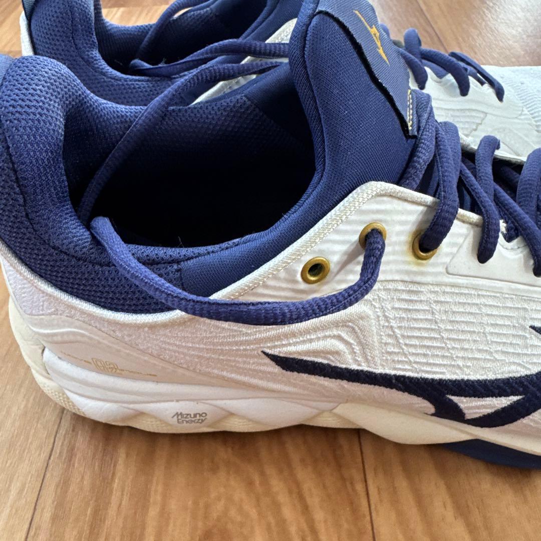 Mizuno バレーボールシューズ ウェーブルミナス02 ドイツモデル