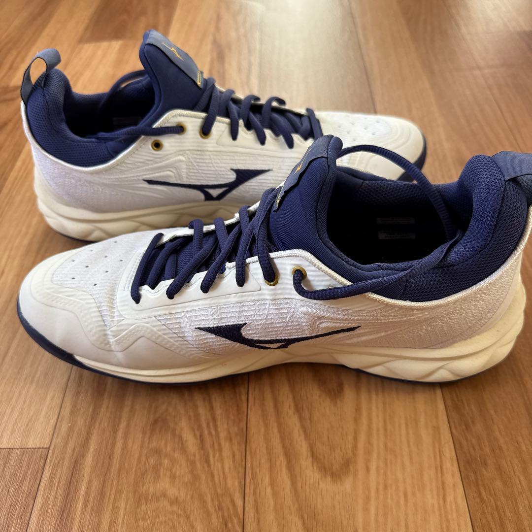 Mizuno バレーボールシューズ ウェーブルミナス02 ドイツモデル
