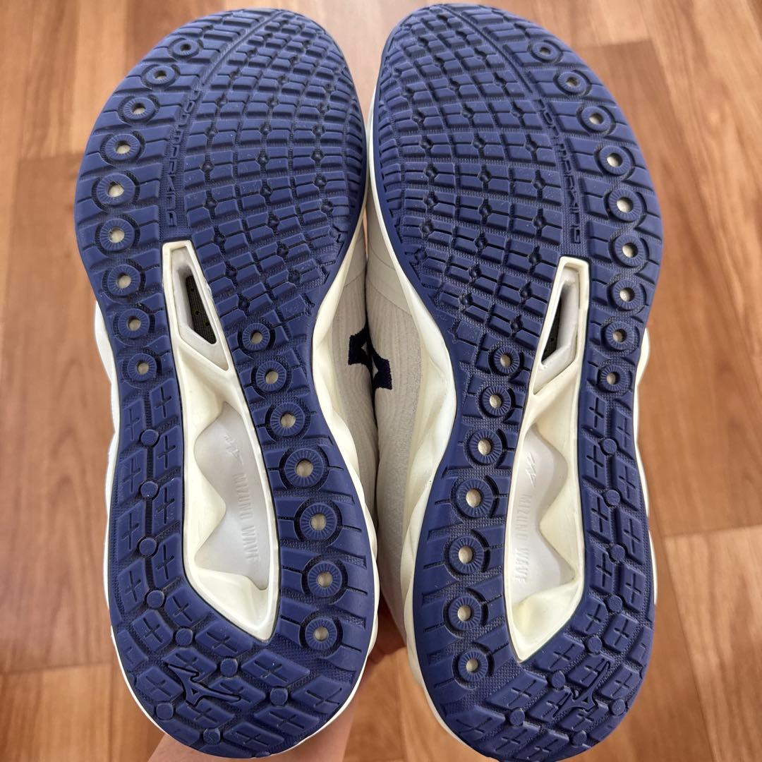 Mizuno バレーボールシューズ ウェーブルミナス02 ドイツモデル