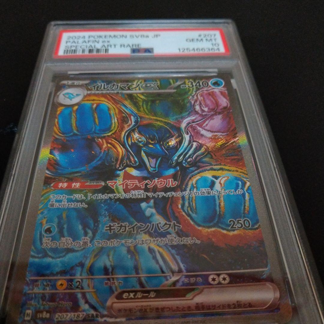 ✨テラスタルフェス ❗SARイルカマン❗❗ PSR鑑定10❗❗早い者勝ちです❗❗