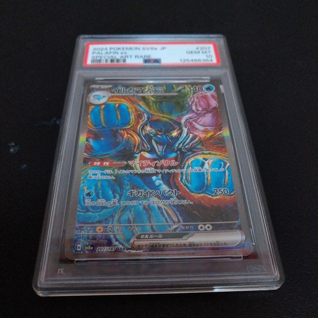 ✨テラスタルフェス ❗SARイルカマン❗❗ PSR鑑定10❗❗早い者勝ちです❗❗