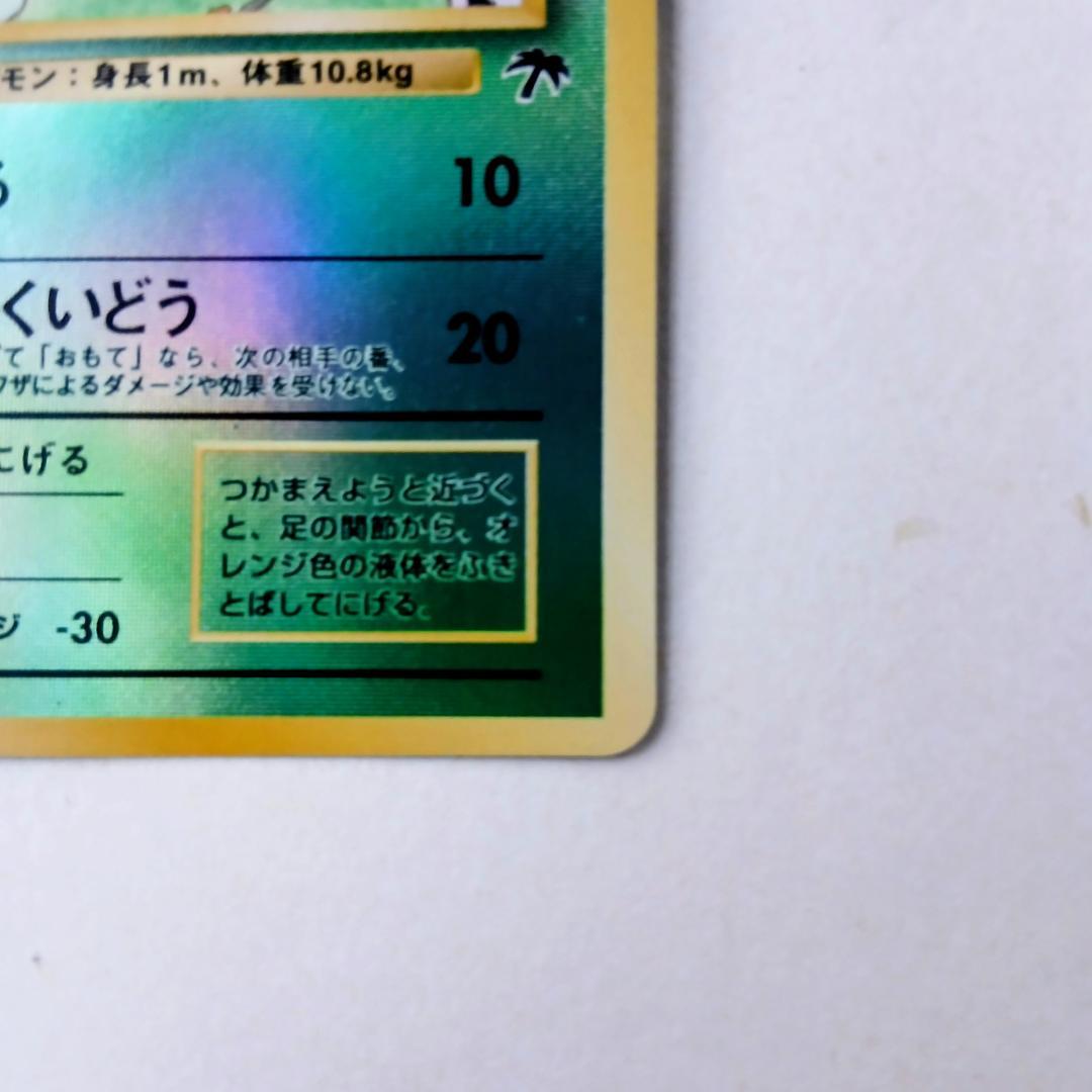 美品　レディバ 映画公開記念パック サザンアイランド　レア