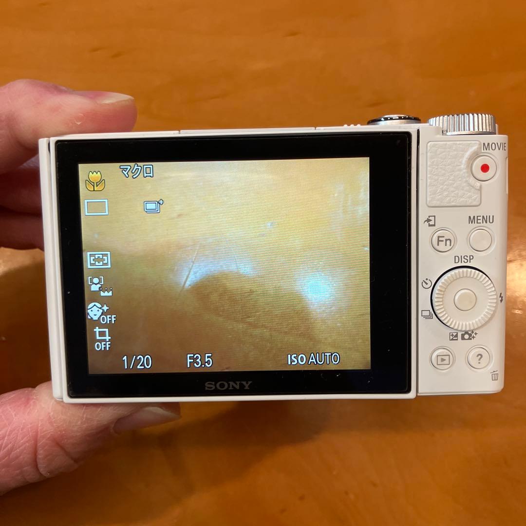 SONY DSC-WX500 コンパクトデジタルカメラ　ソニー　ケース付　美品