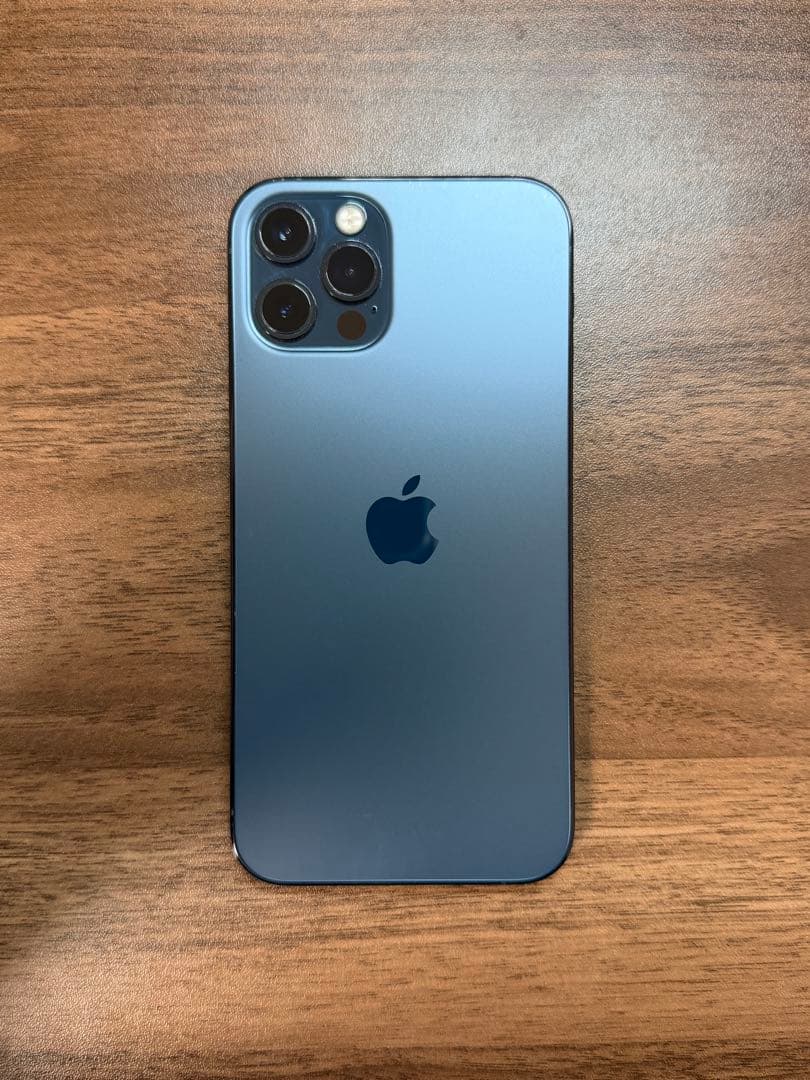 Apple iPhone 12 Pro グラファイト 本体 + 純正ケース