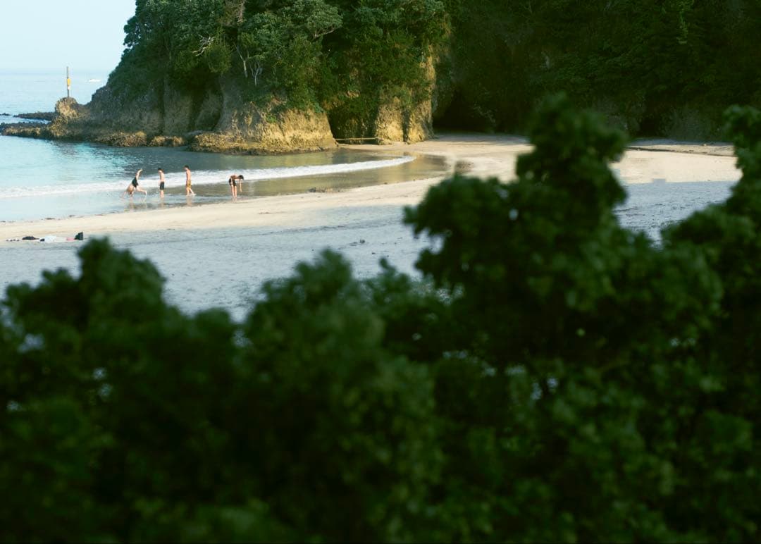 PENTAX 67 SMC MACRO 135mm f/4 ペンタックス　マクロ