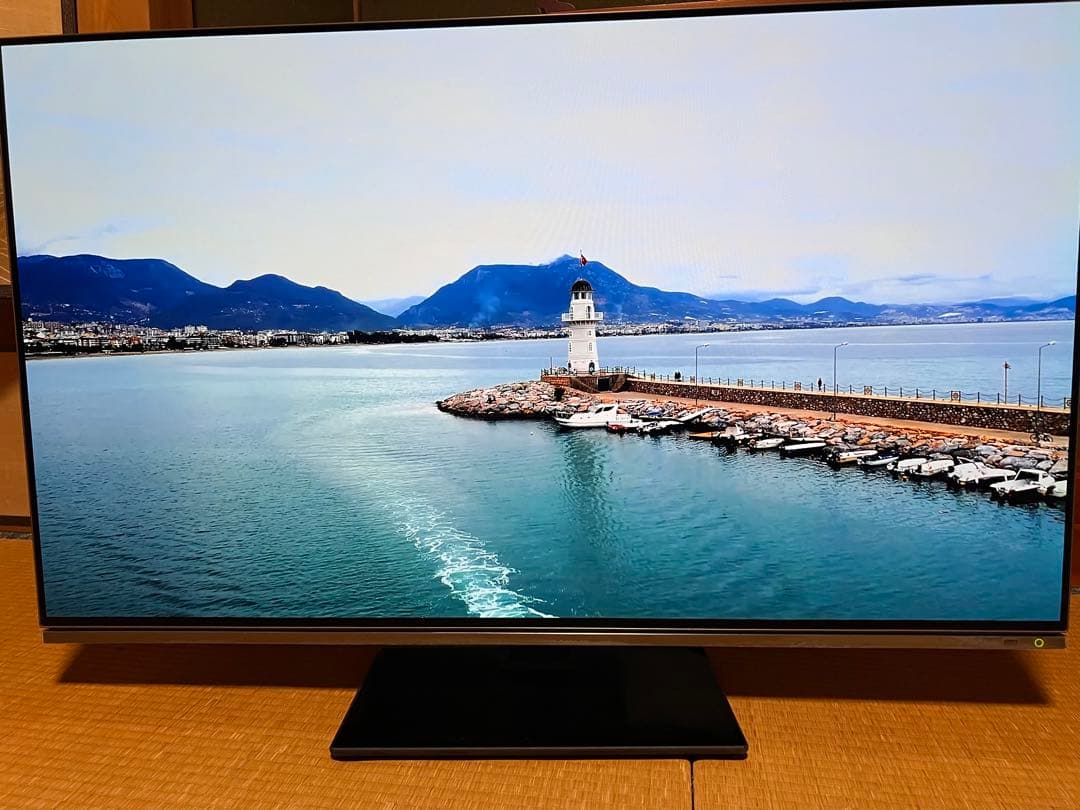 【引取限定】REGZA 48X8900K 有機ELテレビ