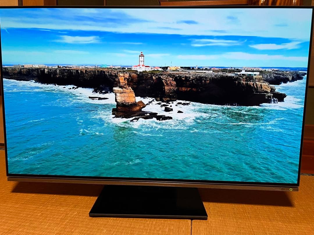 【引取限定】REGZA 48X8900K 有機ELテレビ