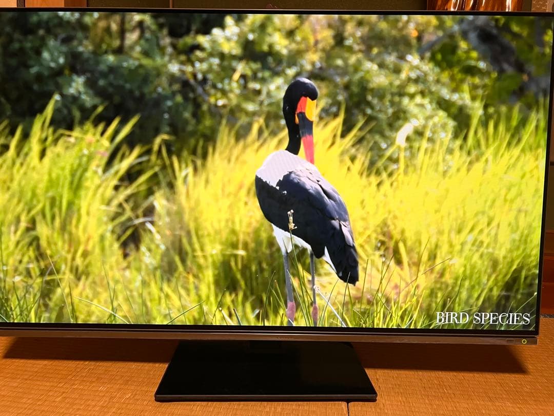 【引取限定】REGZA 48X8900K 有機ELテレビ