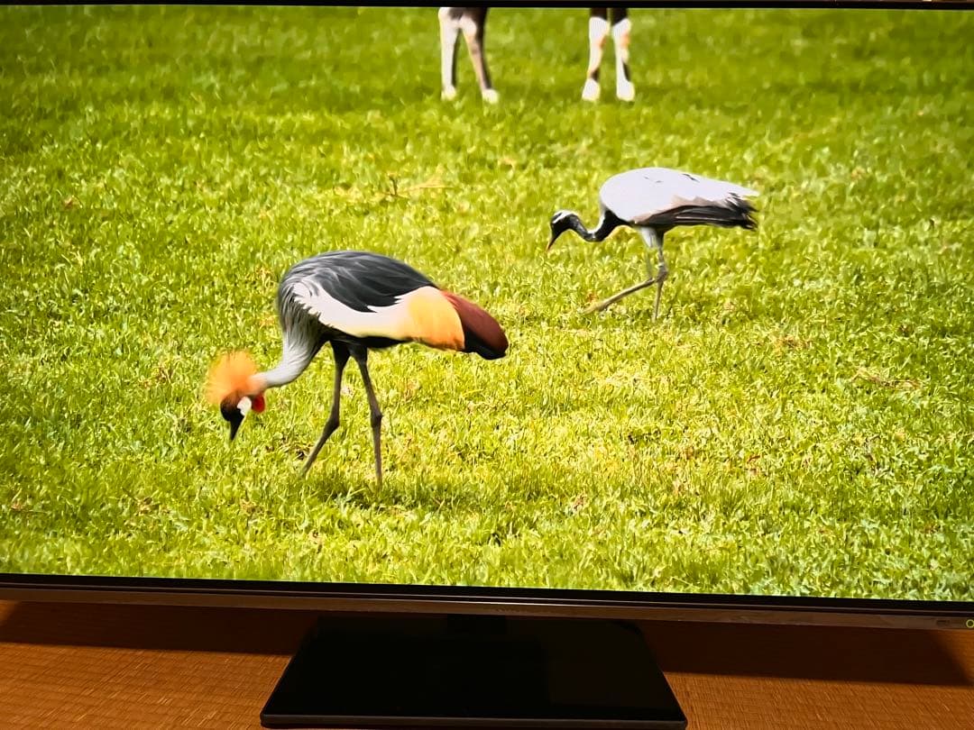 【引取限定】REGZA 48X8900K 有機ELテレビ