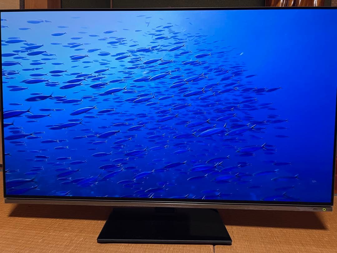 【引取限定】REGZA 48X8900K 有機ELテレビ