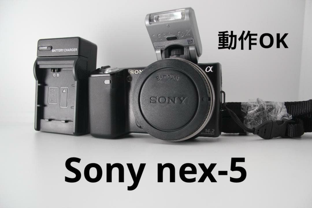 動作OK Sony nex-5 充電器　フラッシュ付き