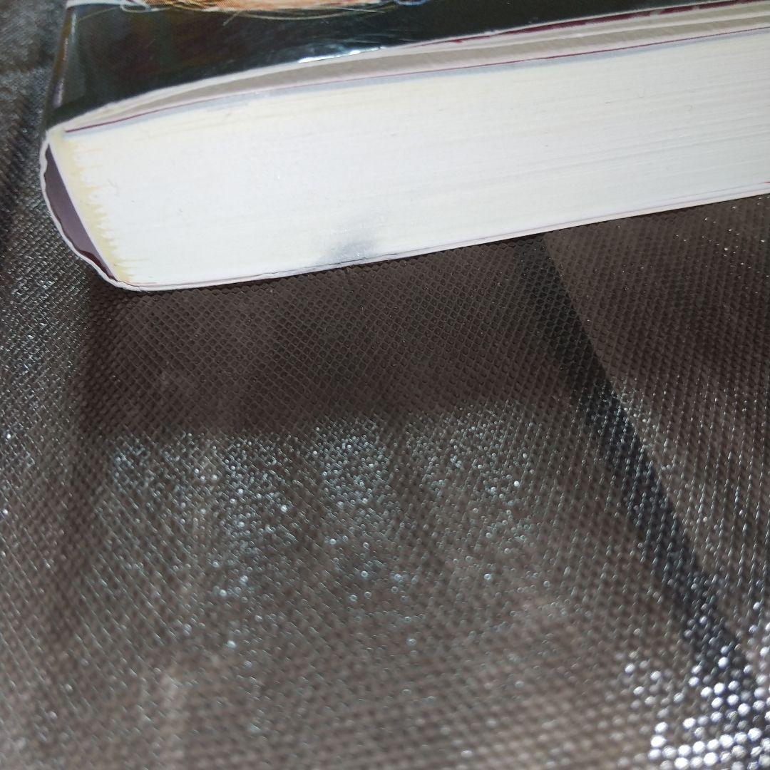 そして不死鳥はよみがえる ハヤブサ降臨