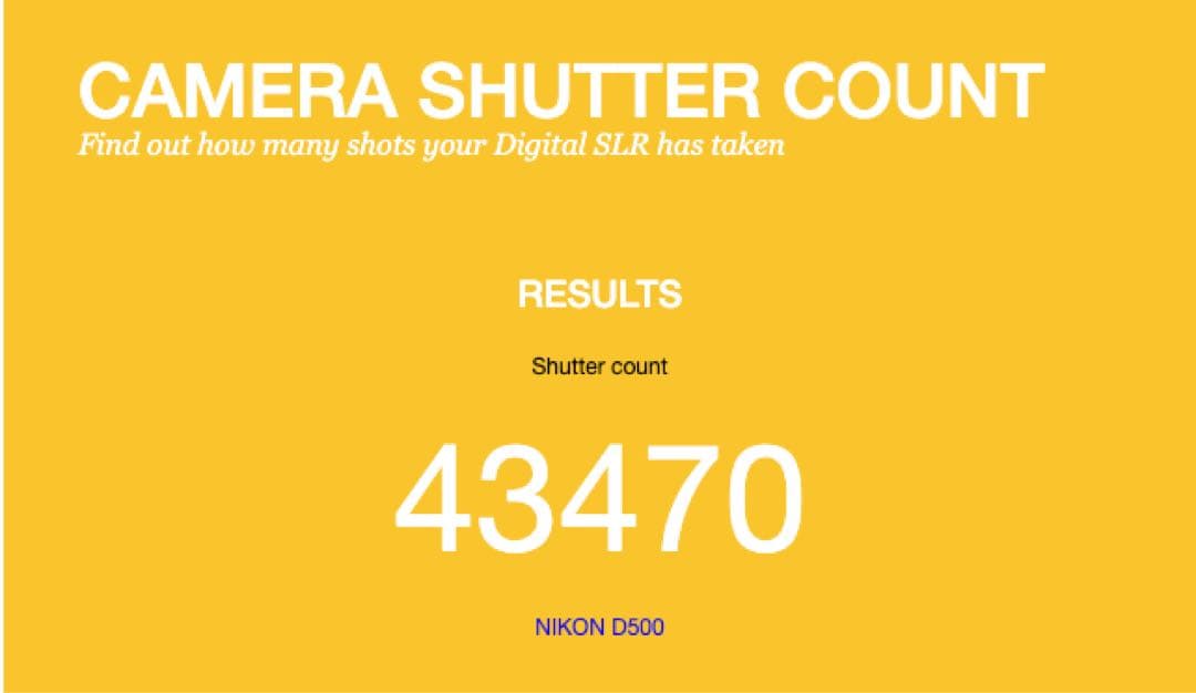 Nikon D500 レンズキット 16-80mm f/2.8-4E ED VR