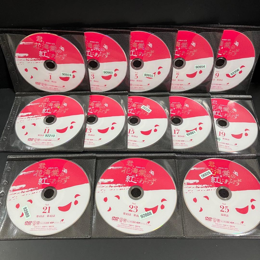 君,花海棠の紅にあらず レンタルDVD 中国ドラマ 全巻完結セット