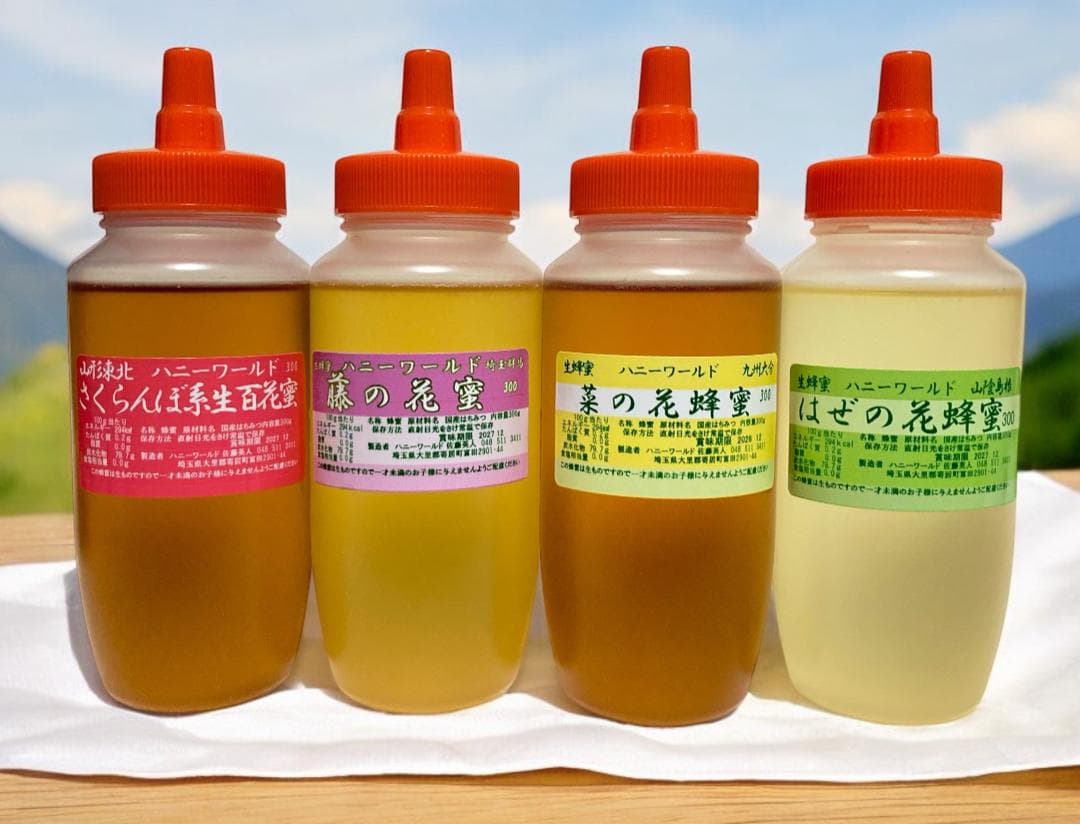 Kyokopalette　300ｇ6本　600g2本