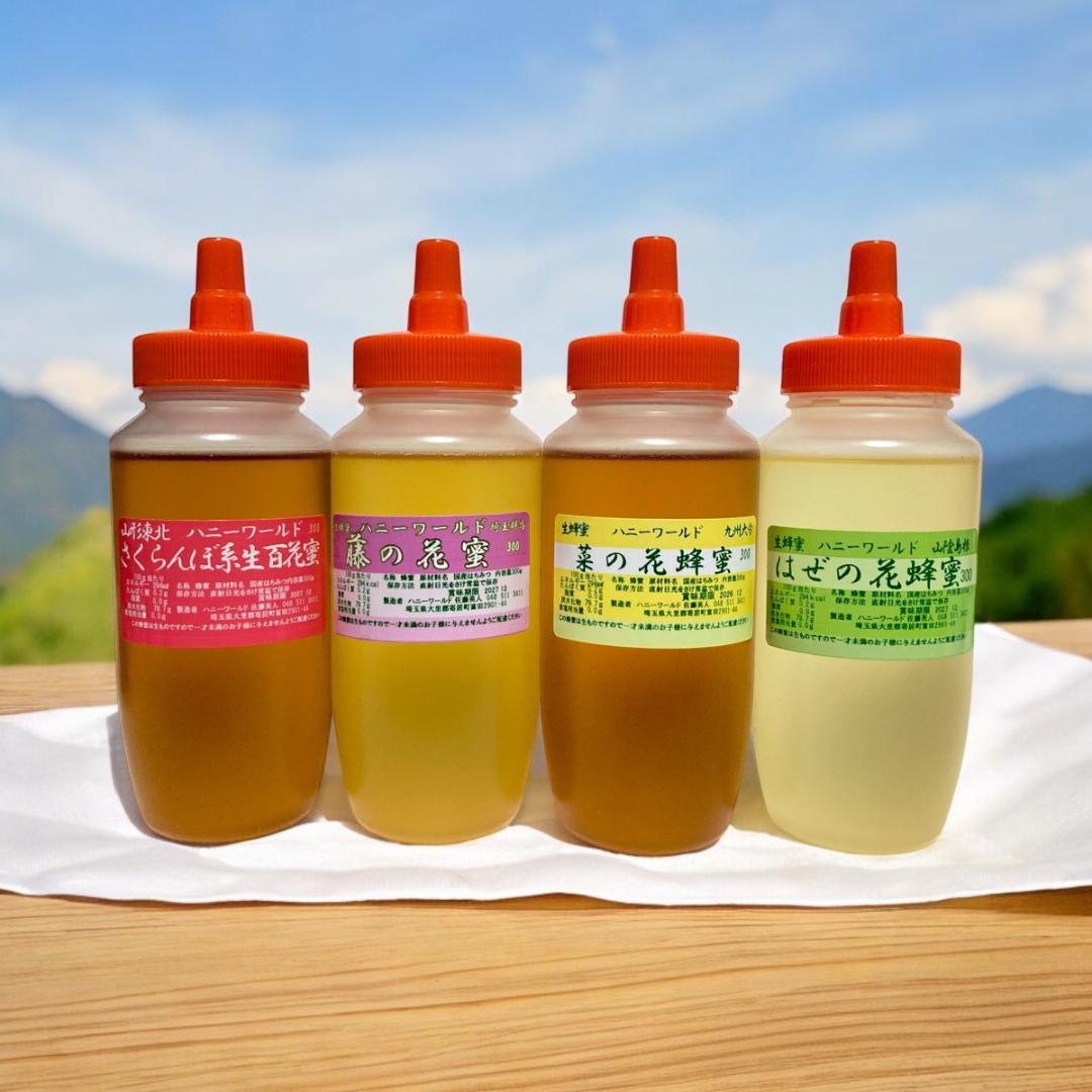 Kyokopalette　300ｇ6本　600g2本