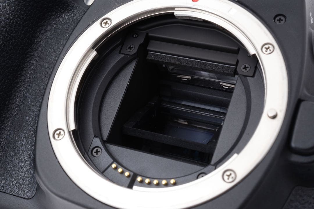 保証付き/フルサイズ/Canon EOS80D標準&望遠ダブルレンズセット