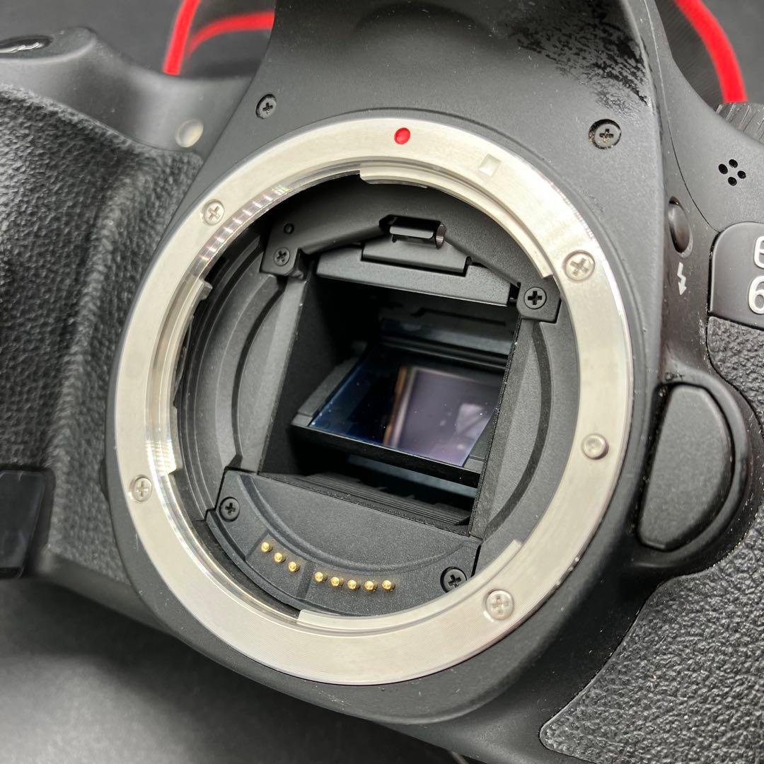 Canon EOS 60D ダブルズームレンズキット