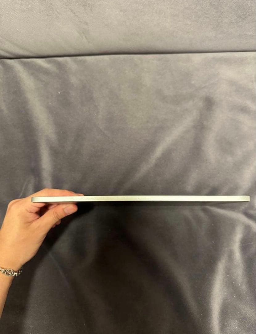 Apple iPad Pro 第二世代11インチ シルバー 本体+ケース付き