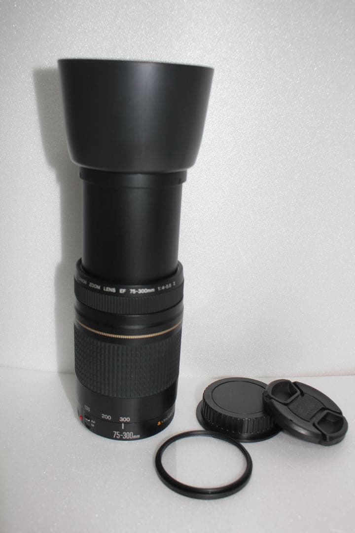 迫力の300mm☆極上品☆フード付☆キャノン Canon EF75-300