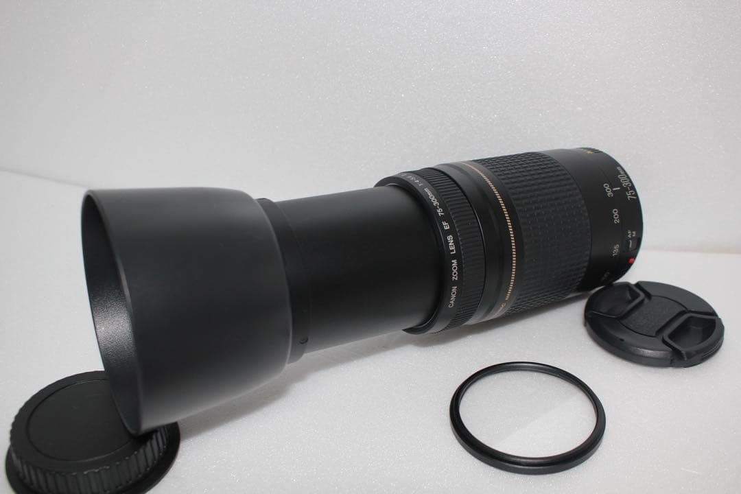 迫力の300mm☆極上品☆フード付☆キャノン Canon EF75-300