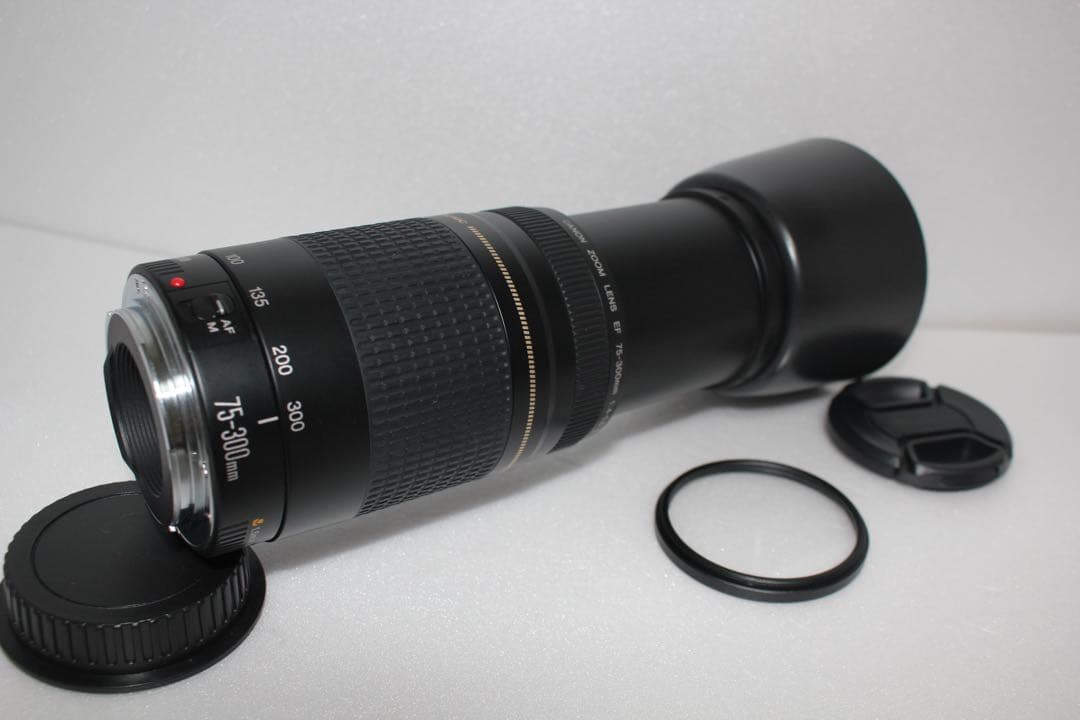 迫力の300mm☆極上品☆フード付☆キャノン Canon EF75-300