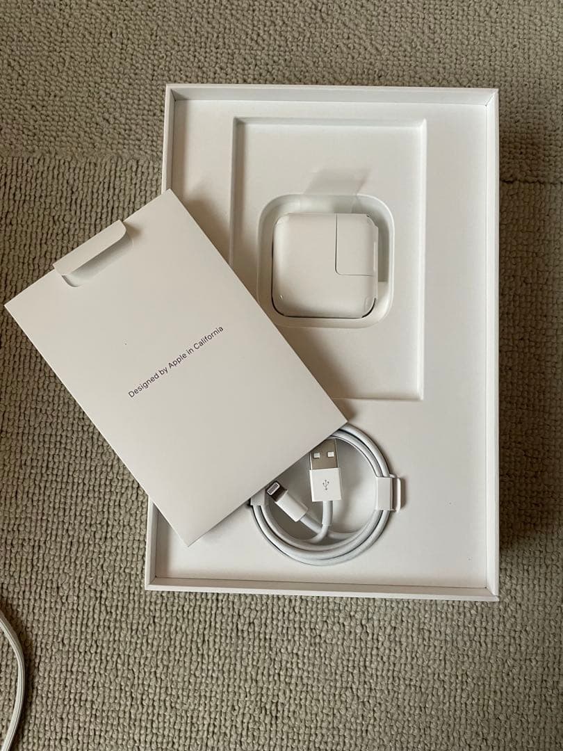 iPad本体 Apple iPad mini5