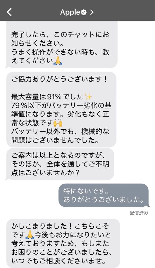 iPad本体 Apple iPad mini5