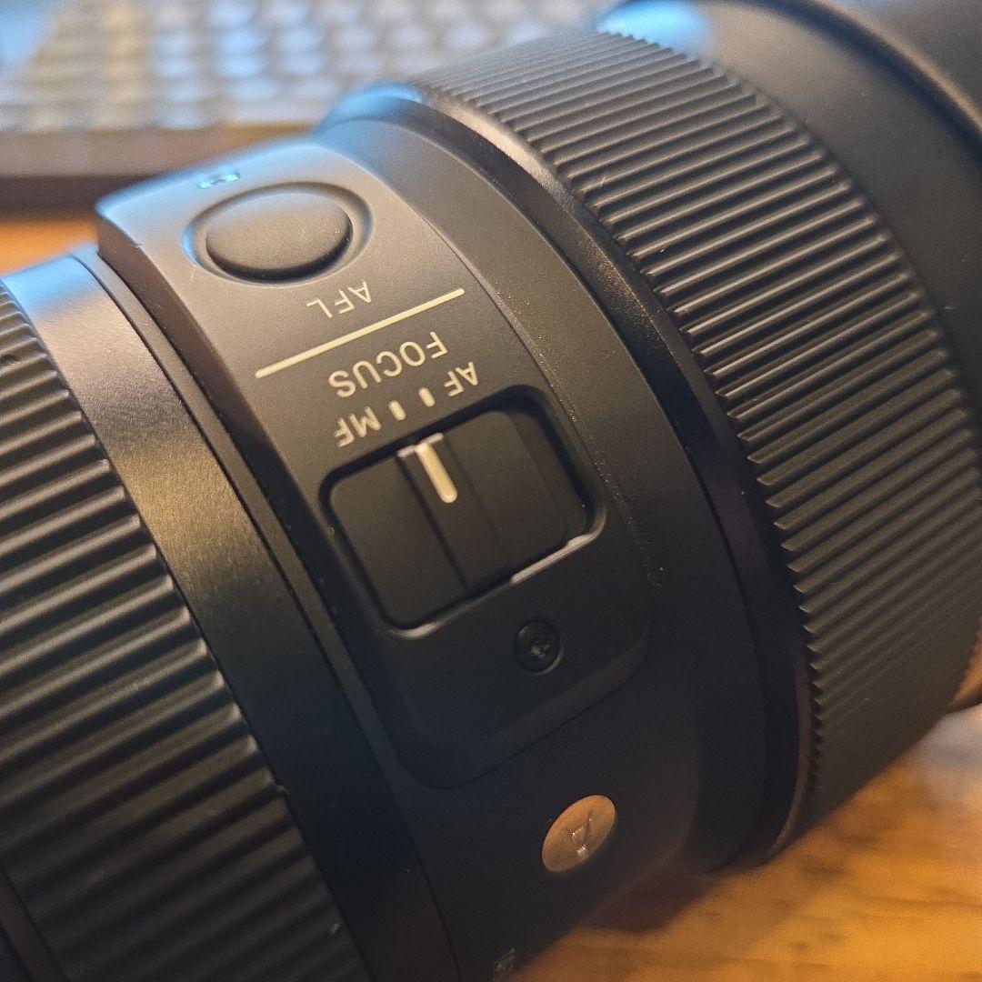 Sigma Art 14-24mm F2.8 DG DN SONY Eマウント