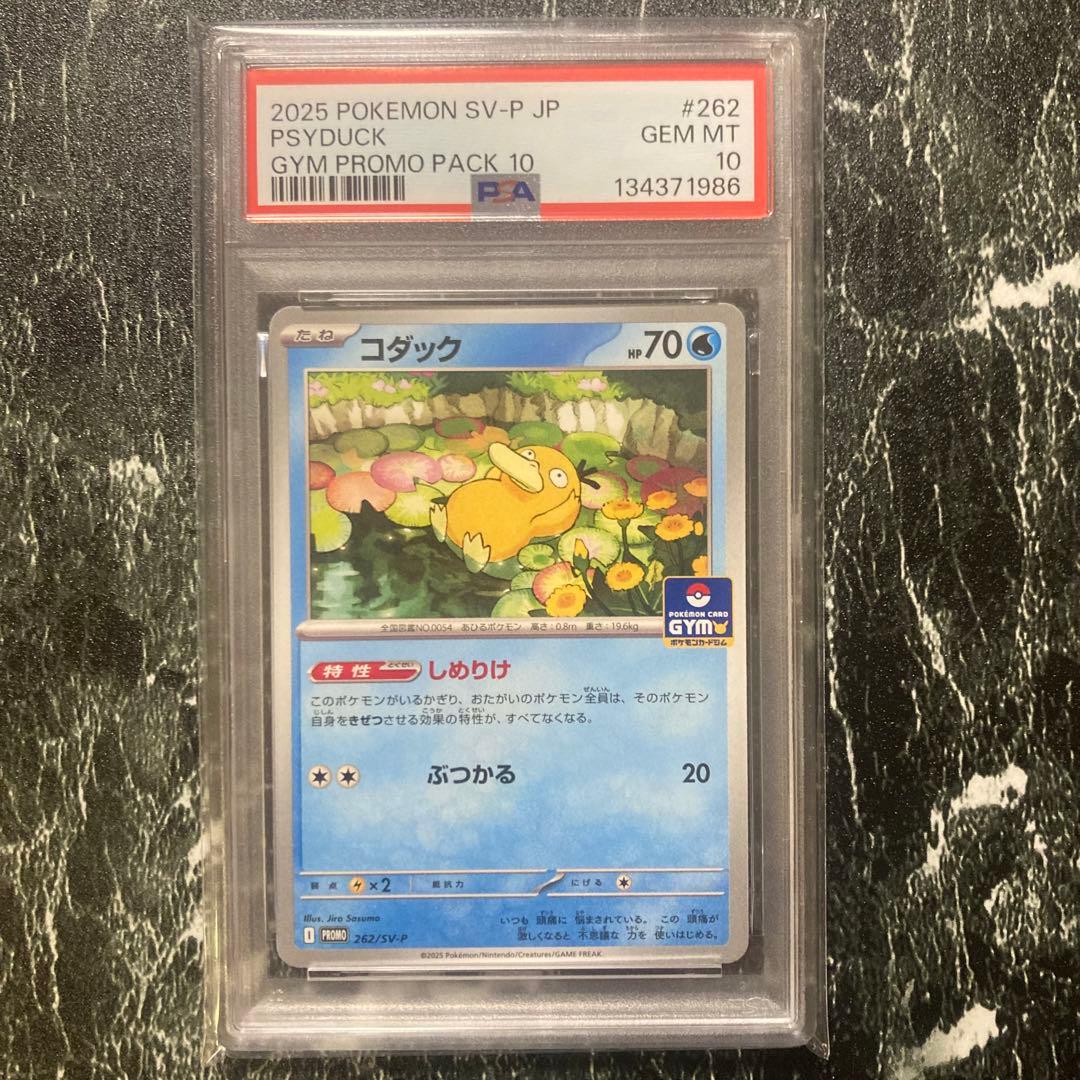 PSA10 コダック　しめりけ　262/SV-P ジムプロモ　3枚セット