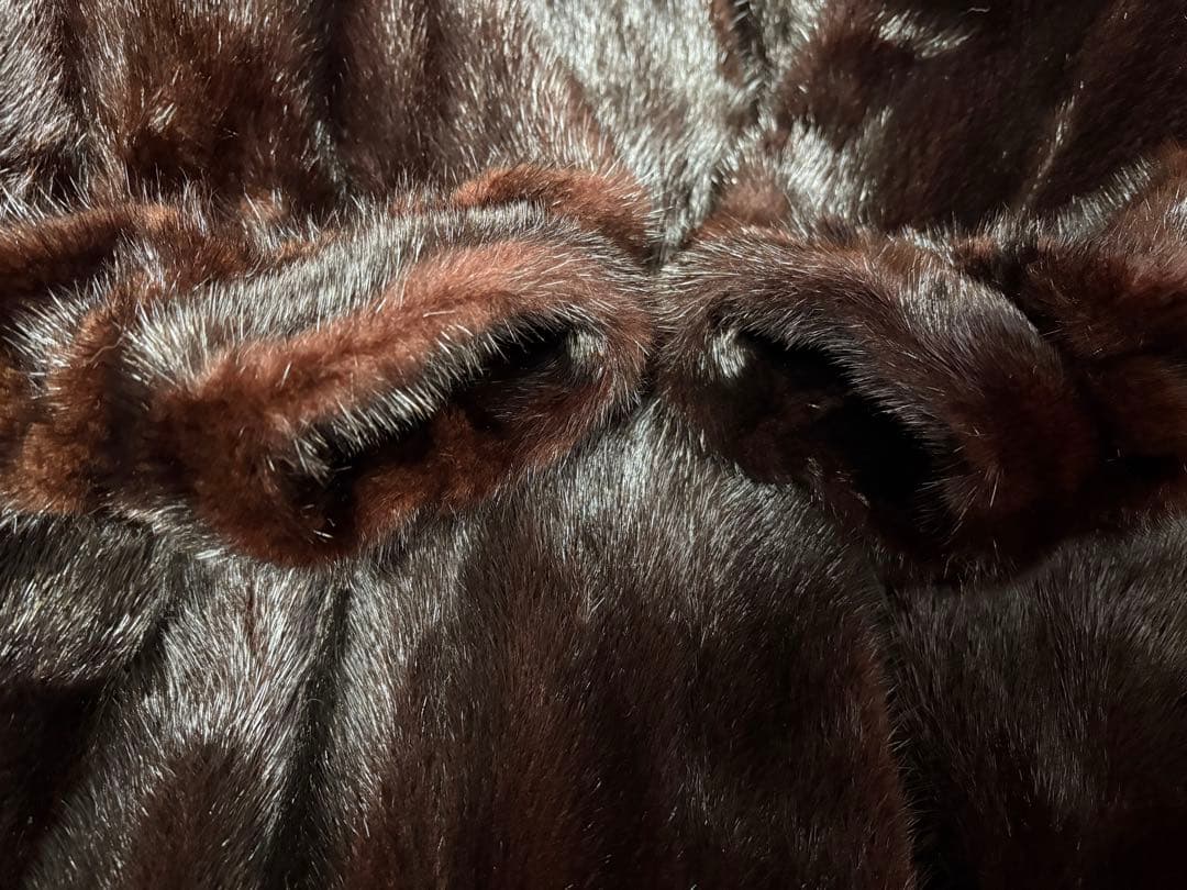 美品ゴールドサガミンクローグコート