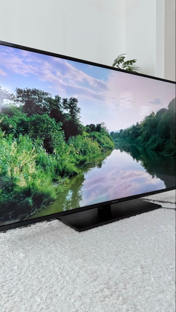 YOU様 2022年製 49型 パナソニック4K液晶 TH-49LX900