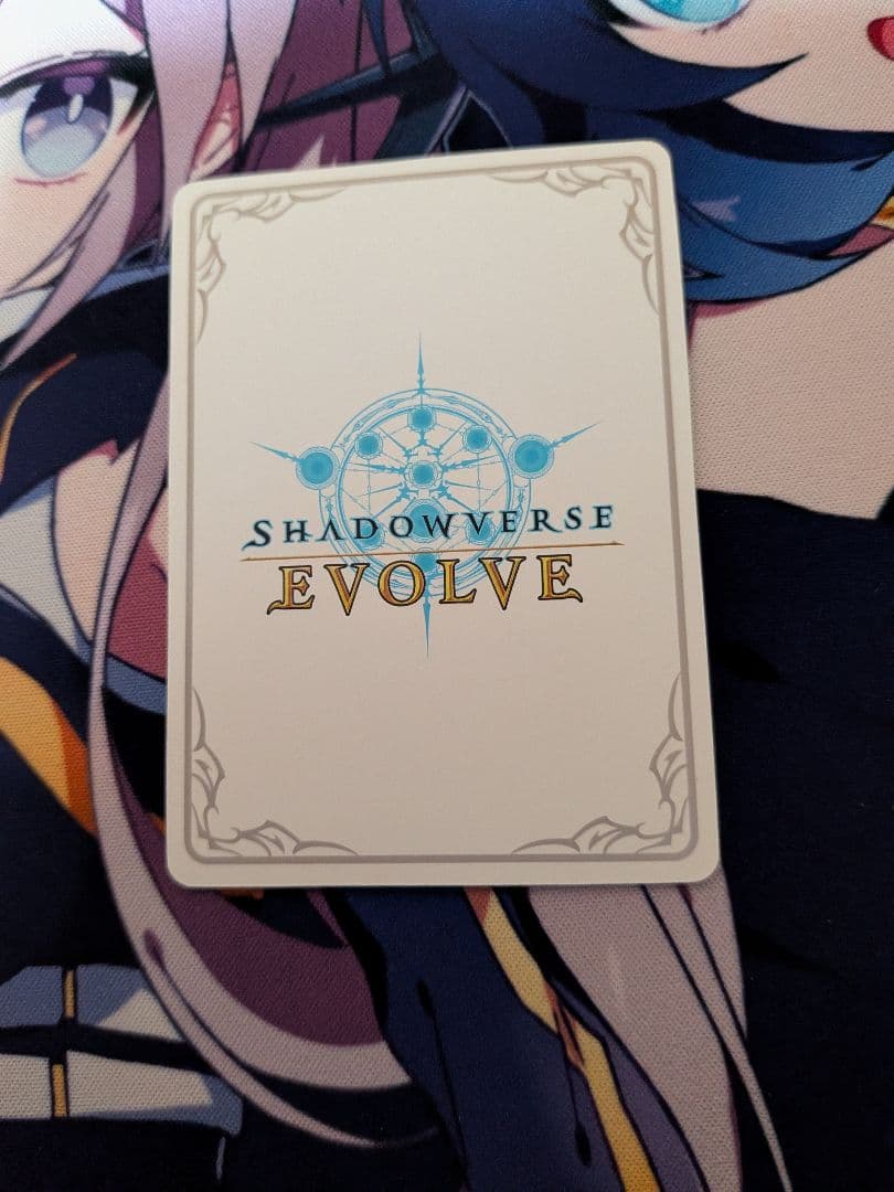 万華の鳳凰ほーちゃん リーダー