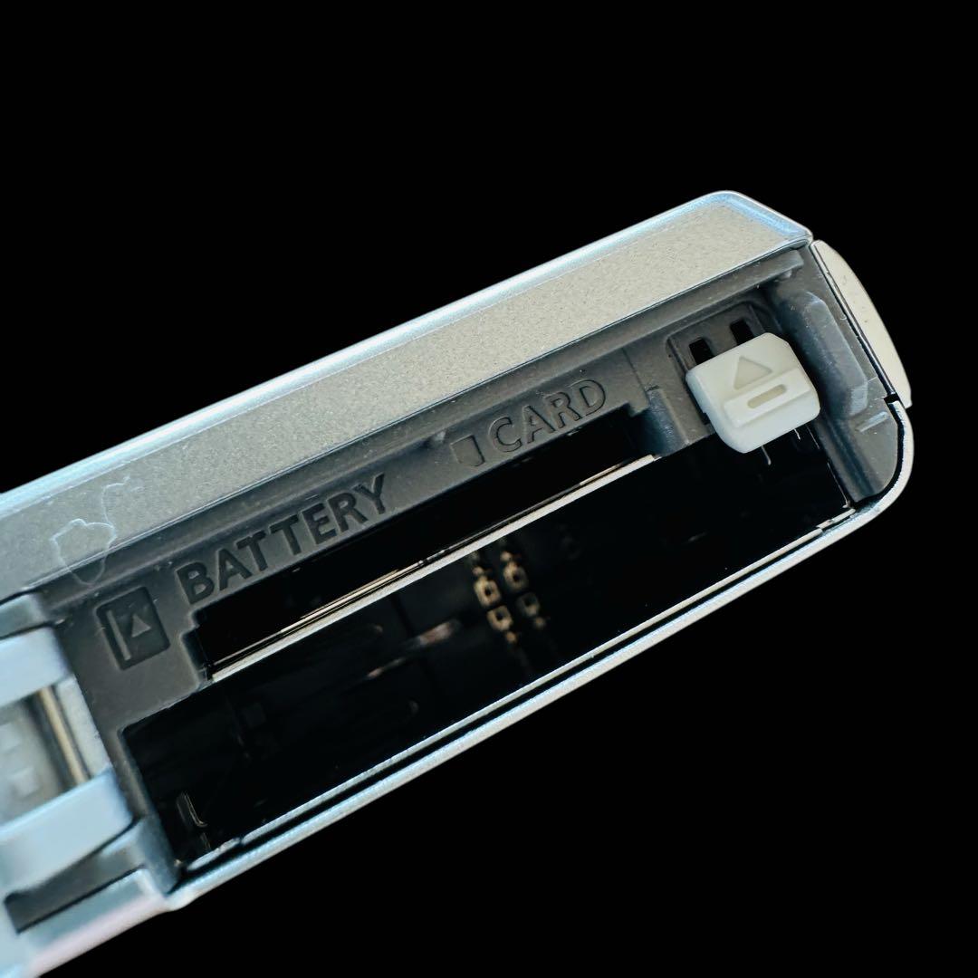 【いぬ】Panasonic パナソニックLUMIX DMC-FH6 シルバ