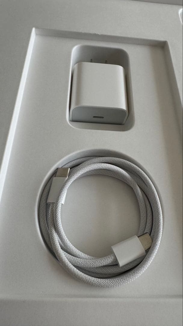 iPad Pro 第5世代 12.9インチ 128GB シルバー